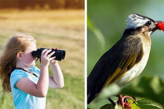 black hawk ed lens telescope price