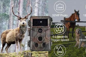 Best wildlife cameras