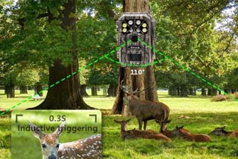 Wildlife Camera HD Sensitive: A Must-Have for Nature Enthusiasts
