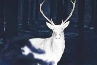 Introduction to the working principle of night vision goggles