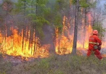  The application of telescope in forest fire prevention