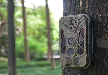 How to choose the location for deploying infrared cameras in the field?