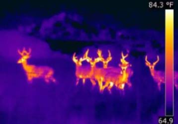 What is Thermal Imaging?