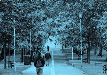 Exploring The Differences Between White Phosphor And Green Phosphor Night Vision Devices