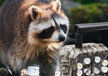 Infrared triggered camera objectively records life trajectory