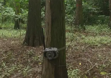 Field 4G monitoring camera and cloud platform construction