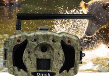 Wildlife Camera Biodiversity Monitor: Convenient and Efficient Security Monitoring Solution