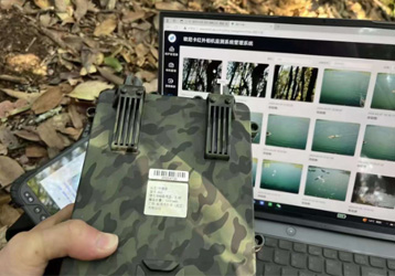 What is a hunting camera? What are the applications of hunting cameras?