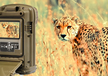 What are the advantages of triggered infrared cameras?