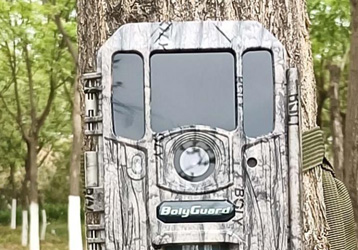 Infrared camera shooting tutorial: from beginner to master