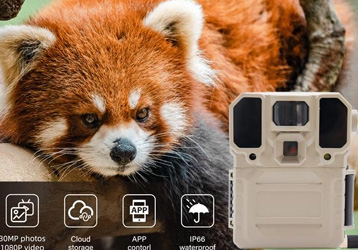 Field monitoring infrared night vision automatic monitoring instrument ecological phenology camera