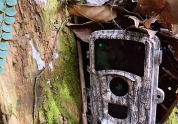 Infrared cameras build wildlife protection network advantage