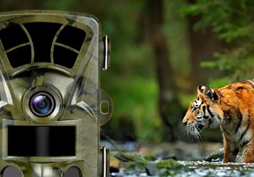 The True Function of Hunting Cameras