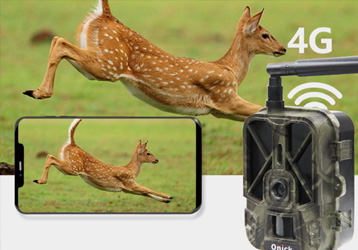AM-999G | 4K infrared hunting camera, day and night
