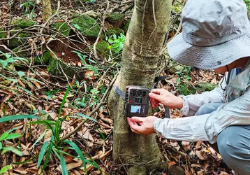 The protective significance of field infrared cameras for wildlife monitoring