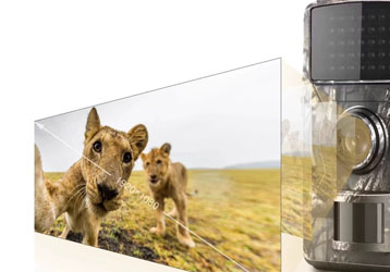 Cross-border infrared wildlife camera outdoor HD hunting camera night vision tracking sensor hunting camera orchard