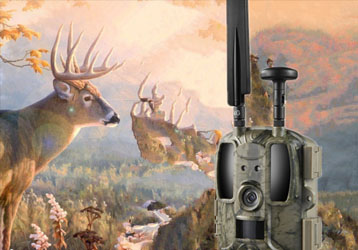 What are the features and uses of hunting infrared triggered cameras?