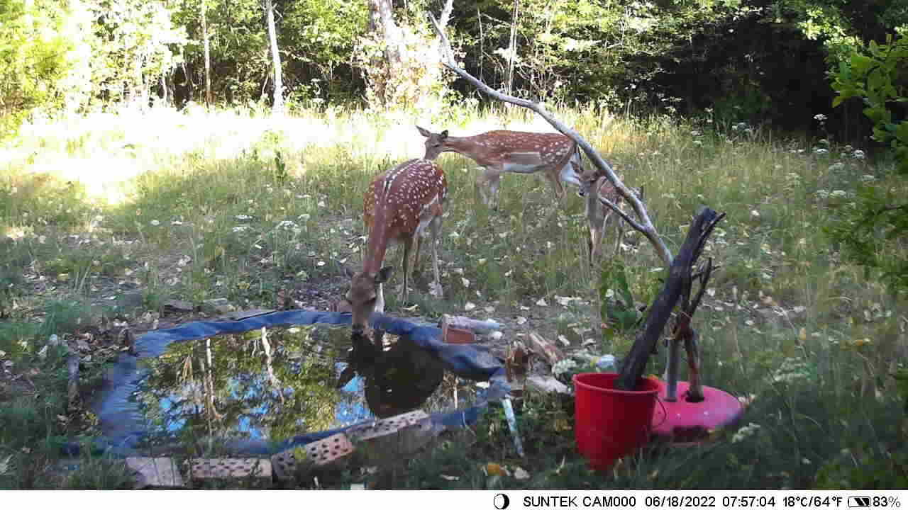 Trail Cameras,Thermal imaging camera,infrared camera,Hunting camera
