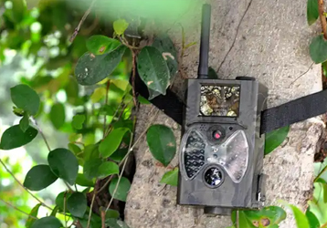 Principle and application scenarios of hunting monitoring cameras