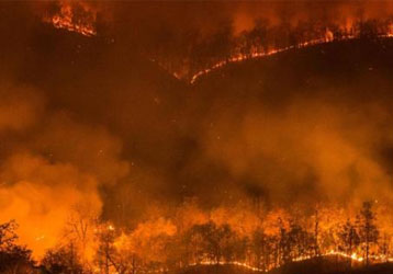 Onick Optics: RE256 thermal imager is the cutting-edge technology in the field of emergency rescue