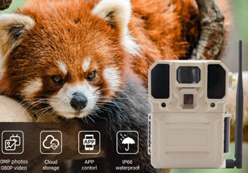 Infrared camera monitoring method: achieving efficient and accurate shooting experience