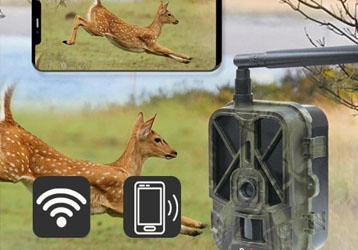 Chinese infrared camera brand