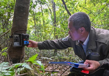 How to set the parameters of the hunting infrared trigger camera?