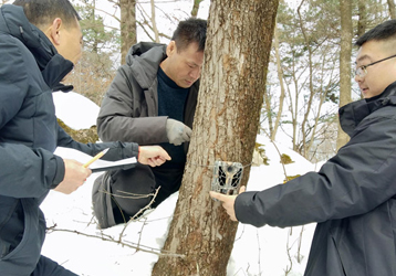 The secret weapon of night hunters