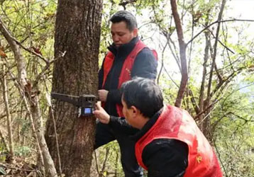 Infrared monitoring camera | Record the wonderful moments of wildlife and changes in the ecological environment