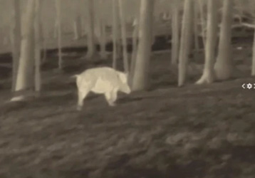 Don’t confuse thermal imagers and night vision goggles anymore!