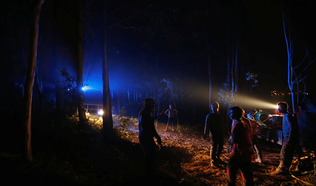 Night Vision in Hunting