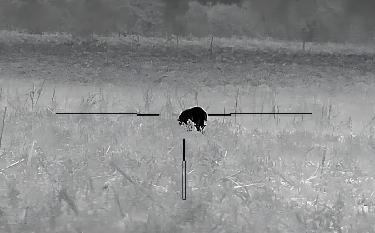 Night Vision in Hunting