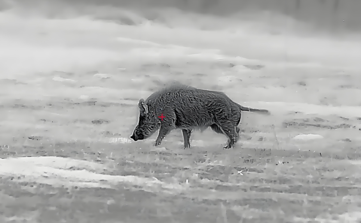 Night Vision in Hunting
