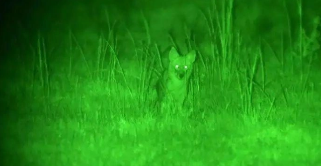Night Vision and Thermal Scopes,night vision telescope,night vision glasses,night vision scope