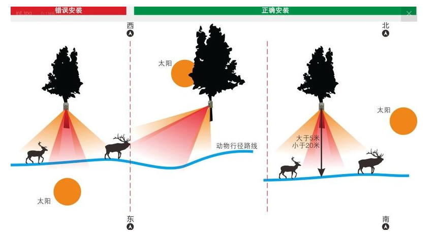 Installation recommendations for infrared-triggered cameras used in wildlife monitoring(pic3) image.png