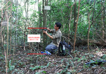 Day and night color wildlife infrared night vision trigger camera