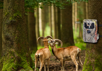 What is the storage capacity and image quality of infrared monitoring cameras?