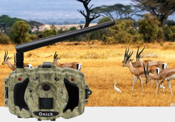 How to use infrared sensors to detect wildlife and trigger your camera