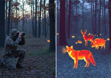 Thermal Imaging Scopes vs Night Vision Scopes: Which Is Better for Your Application?