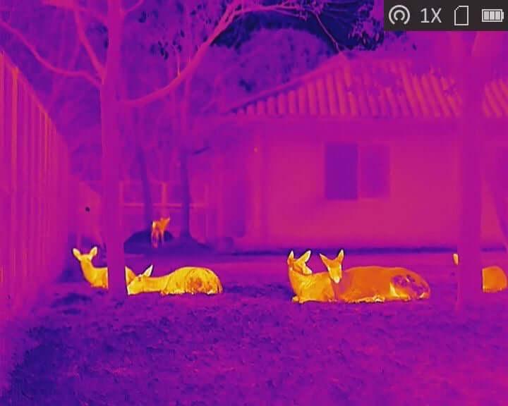 Thermal Imaging Scopes vs Night Vision Scopes: Which Is Better for Your Application?