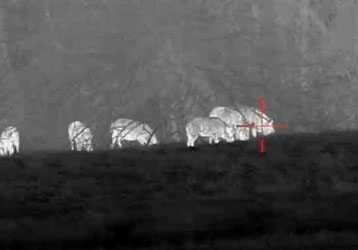 Handheld Thermal Imaging Camera: Portable Infrared Technology for Professional Inspection