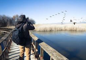 Long-Range Rangefinder for Field Work: Improving Remote Measurement Efficiency and Accuracy