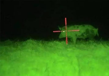 Digital Night Vision Technology: How Infrared Imaging Improves Low-Light Observation