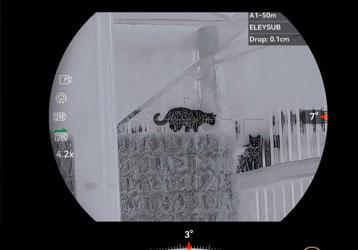 Infrared Night Vision for Hunting: Understanding Modern Digital Night Vision Technology